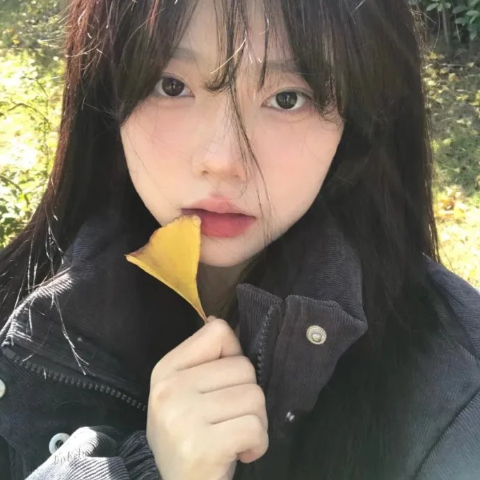 伙伴夫妻